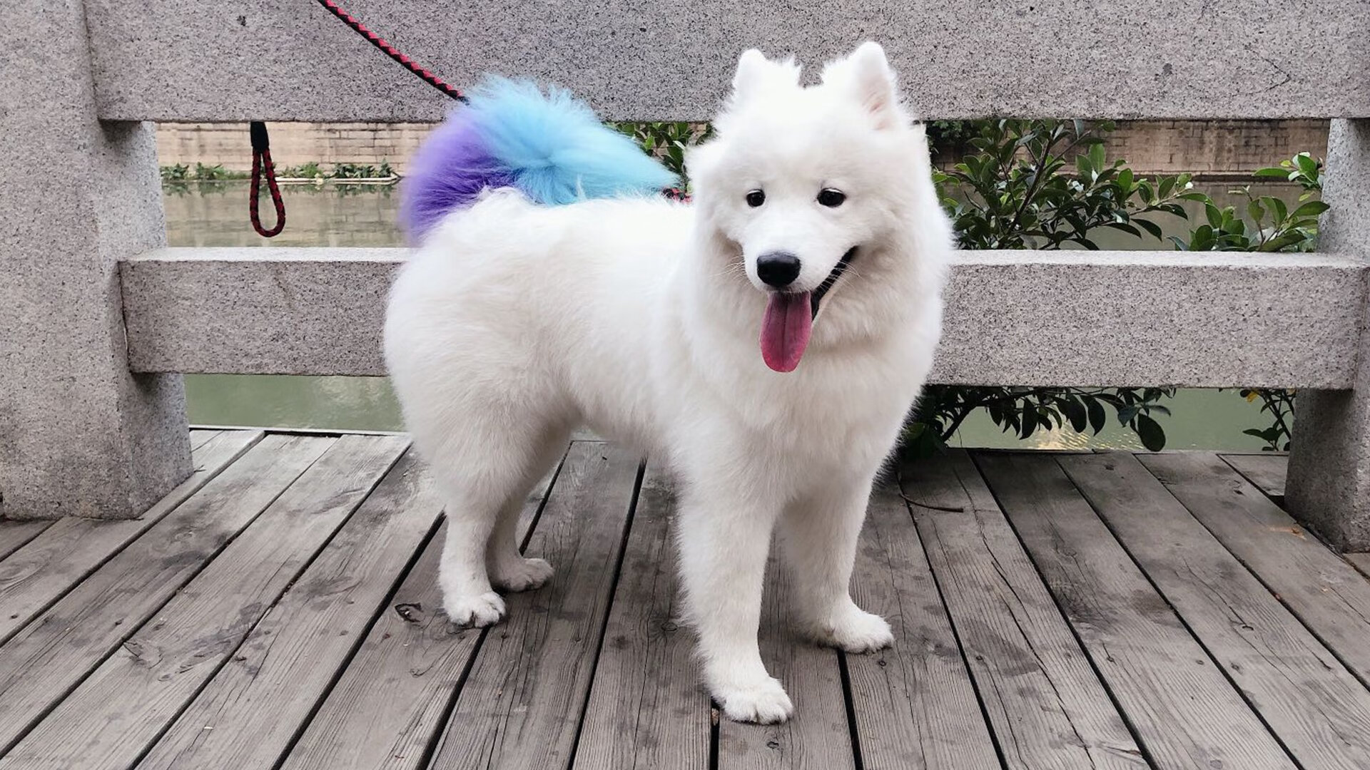 开云电子-双人划艇赛：同舟共济的竞技精神，双人划艇夺冠视频