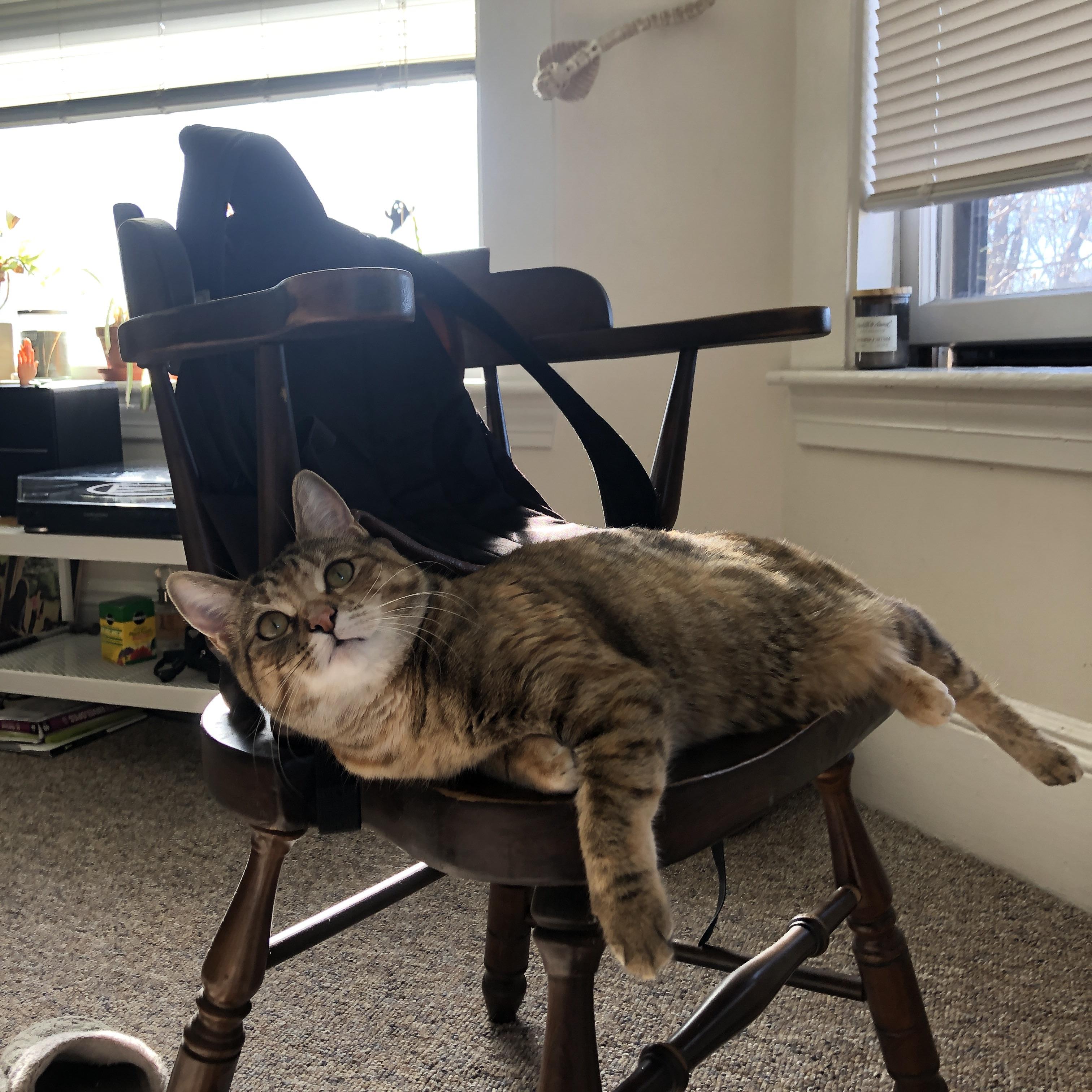 开云体育登陆入口-【虚拟现实看比赛】未来观众可能在家享受“身临其境”体验，虚拟现实视频介绍